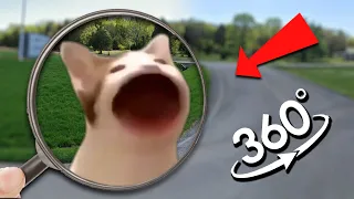 FIND POP CAT MEME | Pop Cat Finding Challenge 360º VR Video