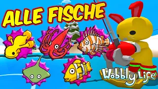 HOW TO FIND ALL THE FISH FOR THE SUPER YACHT in NEW WOBBY LIFE UPDATE v0.7.6