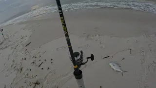 Spring Morning’s on Navarre Beach are always memorable!