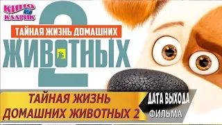 Тайная жизнь домашних животных 2☆Дата выхода☆АНОНС☆Трейлер☆2019