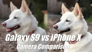 Samsung Galaxy S9 Plus vs iPhone X Camera Comparison