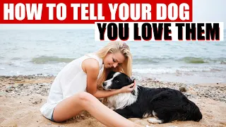 10 Ways to Tell Your Dog You Love Them