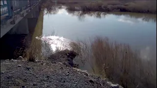 Темиртау Чкалово после паводка. Река нура.