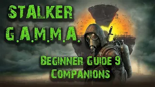Stalker GAMMA Beginner Guide 9: Companions