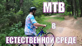 Street MTB врывается на ДЁРТЫ / Ns bikes / Dartmoor