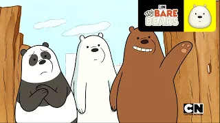 Piloto | Ursos sem Curso | Cartoon Network