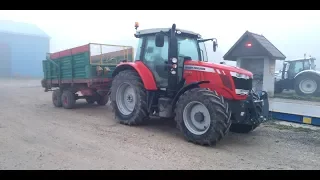 Kopiemy Pietruszkę ? Za Sterami Massey Ferguson-a 6613 Dyna 6 ?! Odc.#14