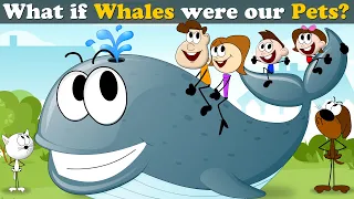 What if Whales were our Pets? + more videos | #aumsum #kids #children #education #whatif