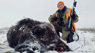 В ПЕРВЫЙ РАЗ ТАКОЕ НА ЗАГОННОЙ ОХОТЕ. ВЕСЬ ЗВЕРЬ НА МЕНЯ! ТУШЕНКА ИЗ СЕКАЧА В АВТОКЛАВЕ ВЕЙН 2