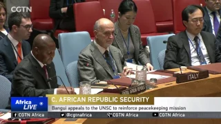 Bangui appeals to the UNSC to reinforce peacekeeping mission