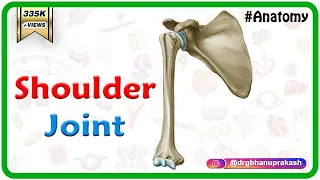 Shoulder joint Anatomy - Ligaments, Movements, Blood supply , Nerve supply and Clinical anatomy