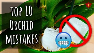 Top 10 Mistakes you didn't know you were making! - Orchid Care for Beginners