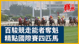 金鎗六十香港一哩錦標力爭打破美麗傳承、精英大師紀錄！HKJC沙田馬場香港瓶、香港短途錦標、香港一哩錦標、香港盃名駒雲集！倚蓬萊、福逸、金鎗六十、唯獨愛你最具冠軍相｜CC中文字幕｜賽馬FactCheck