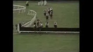 1979 Whitbread Gold Cup Handicap Chase