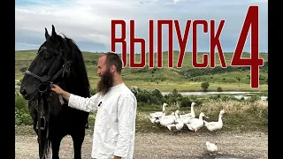 Конеподбор | Выпуск 4 | Под пробеги, иноходцы, арабский ЧК | Александр Обжерин