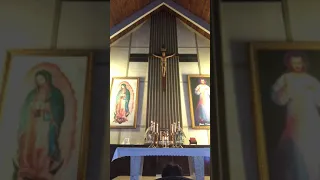 Divine Mercy in Song