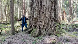 Paul Stamets Earth Day Message 2021