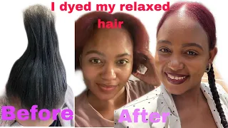 How to Dye relaxed hair| No breakage| Dyed 5 days after relaxing natural hair|| Inecto Dye