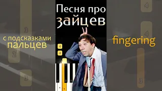 Песня про зайцев с аппликатурой | Fingering EASY Piano Tutorial (Synthesia)