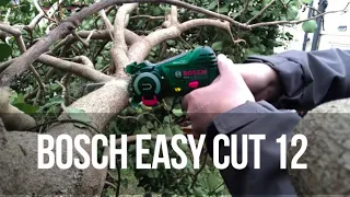 Putting the Bosch Easy Cut 12 to the test #Bosch Mini Cut 12