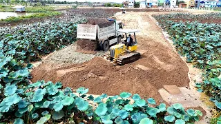 Part 9 90% Amazing Plan Landfill By Komatsu D20P Dozer Pushing Sand & Miniature Truck Unloading Sand