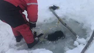 Part 2 of how to set a gillnet under the ice