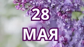 28 мая День химика и другие праздники