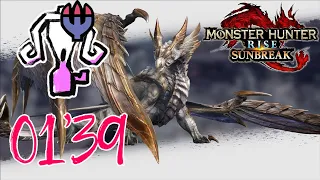 【MHR:SB PC】01'39 ★M6 Primordial Malzeno LBG