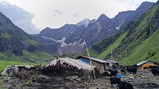 Nepali Himalayan Village Life | Dolpa | Nepal | Yak Shepherd Life | Villages Food cooking & Eating |