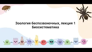 Систематика зоологии беспозвоночных