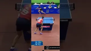 Timo Boll Fake Smash #timoboll #shorts #tabletennis