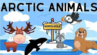 ABC Alphabet Arctic Animals | abc Book Alphabet Animal for Kids | Animal Alphabet A To Z Flash Cards