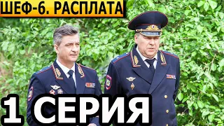 Шеф. Расплата 6 сезон 1 серия - анонс и дата выхода (2024) НТВ