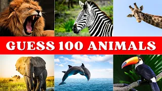 Guess 100 Animals In 5 Seconds || Animals Quiz || Easy, Medium, Hard, Impossible