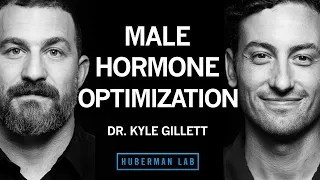 Dr. Kyle Gillett: Tools for Hormone Optimization in Males | Huberman Lab Podcast 102