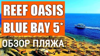 Reef Oasis Blue Bay Resort 5* обзор. Пляж, пирс, заход в море. Отдых в Египте Шарм Эль Шейх