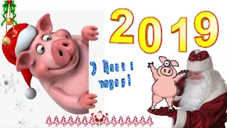 СУПЕР!!!С новым 2019 г. С годом СВИНЬИ! Футаж с новым годом! Поздравление с новым годом!