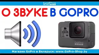Встроенный звук или микрофон для GoPro 5/6 Black? by  gopro-shop.by