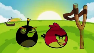 Todos los pájaros de Angry birds Classic 🐦🪶| Angry birds