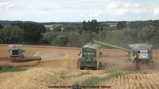 Claas - Case - Fendt - Hawe / Getreideernte - Grain Harvest 2022 The Wohle Story