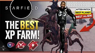 The INFINITE Starfield XP Farm You'll Actually Enjoy... NO OUTPOST REQUIRED!