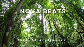 Nova Beats-Essence of Minds #19 [Melodic Techno/House & Progressive House DJ Mix]