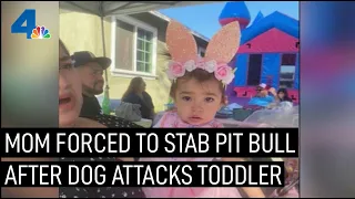 Two Pit Bulls Attack Family, Including 1-Year-Old Child, in Pico Rivera | NBCLA