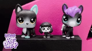 Littlest Pet Shop - 'Black & White Collection' Official TV Commercial