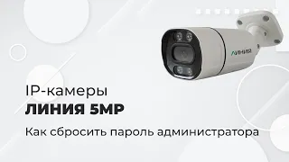 IP-камеры Линия 5Mp | Как сбросить пароль администратора