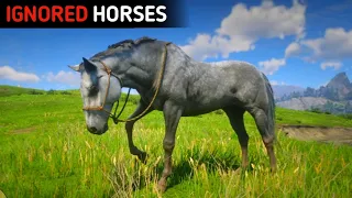 3 Ignored Rare Horse Location (Part-3) RDR2