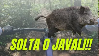 BTT Monsanto - Trilho do Javali Completo (GPX na Descrição)