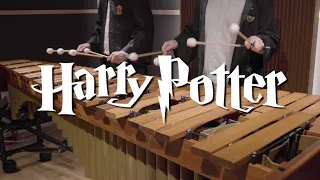 Harry Potter OST - Hedwig's Theme - Pulse Marimba Cover