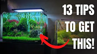 13 TIPS TO MAKE A BEAUTIFUL PLANTED TANK - AQUASCAPING TIPS FOR BEGINNERS