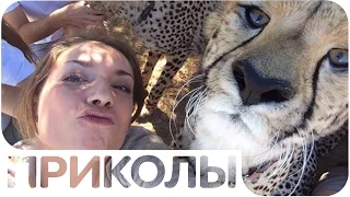 ЛУЧШИЕ ПРИКОЛЫ #26 СМЕХ ДО СЛЕЗ (Подборка Приколов)